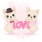 Cute Couple French Bulldog valentine`s day concept