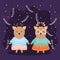 Cute couple reindeer with clothes characters