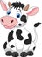 Cute cow cartoon sitting