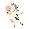 Cute cow dancing. Set of cute Cows character in various poses