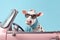 a cute cow in retro car, concept of Vintage aesthetics, created with Generative AI technology