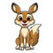 Cute coyote cartoon on white background
