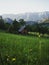 Cute cozy little rustic wood cabin hut shack alpine landscape nature green grass meadow in Upper Austria alps mountains