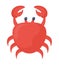 cute crab design