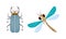Cute Crawling Beetle and Flying Dragonfly as Garden Bug Vector Set