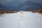 Cute, crazy and happy beige and white Russian borzoi dog or wolfhound running on the snow in the winter field