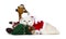 Cute cream adult Britisch Shorthair cat dressed in Santa suit,Isolated on white background.