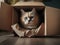 Cute cream persian cat in cardboard box on floor at home.