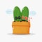 Cute cucumber mascot in the box