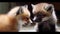 Cute and cuddly baby animals playing with each other created with Generative AI