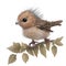 Cute and Cuddly Baby Bird Sitting on a Branch, AI Generated