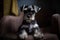 A cute and cuddly Miniature Schnauzer sitting on a lap, enjoying some cuddle time. Generative AI