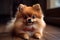 A cute and cuddly Pomeranian wearing a bow, showing off its cute and cuddly nature. Generative AI