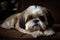 A cute and cuddly Shih Tzu snuggled up on a pillow, showing off its cute and cuddly nature. Generative AI