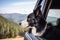 A cute and curious Collie dog in the car, enhancing the enjoyment of the road trip