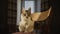 Cute curious domestic cat washing her paw and looking at camera indoors