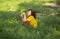Cute curly girl in a yellow T-shirt sits in tall grass and plays with a flower