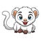 Cute cuscus cartoon on white background