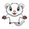 Cute cuscus cartoon on white background