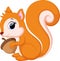 Cute Cute squirrel cartoon