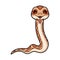 Cute daboia russelii snake cartoon