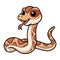 Cute daboia russelii snake cartoon