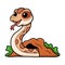 Cute daboia russelii snake cartoon out from hole