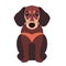 Cute Dachshund Dog Cartoon Flat Vector Icon