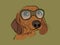 Cute Dachshund Dog with Glasses