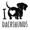 Cute dachshund dog  illustration isolated on white,