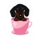 Cute Dachshund dog in pink teacup, illustration, set for baby fashion