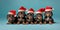 Cute Dachshund dog puppies with red Christmas santa hats on dark blue background