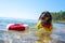 Cute dachshund dog started to sink and lifeguard threw it inflatable lifebuoy, front view. Funny puppy learns how to