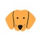 Cute dachshund face. Dog head icon. Hand drawn isolated vector illustration