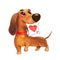 Cute Dachshund holding drawing heart, funny holiday illustration with cartoon character