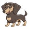 Cute dachshund illustration