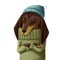 cute dachshund portrait watercolor illustration, funny clipart with cartoon character