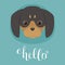 Cute dachshund puppy head