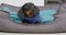 Cute dachshund puppy in knitted sweater lies motionless in a pet bed and looks up with frightened look. Dog was punished