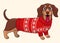 Cute Dachshund Sausage Dog wearing Ugly Sweater