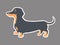 Cute dachshund sticker.