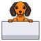 Cute dachund dog cartoon holding blank sign