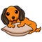 Cute dachund dog cartoon on the pillow
