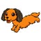 Cute dachund dog cartoon running