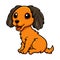 Cute dachund dog cartoon sitting