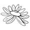 Cute daisy flowers. Digital doodle outline art. Print for fabrics, wrapping paper, boxes, products, website design, posters, cards