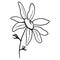 Cute daisy flowers. Digital doodle outline art. Print for fabrics, wrapping paper, boxes, products, website design, posters, cards