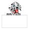 Cute Dalmatian Dog