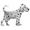 Cute Dalmatian Dog