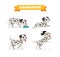 cute dalmatian dog animal pet with many pose bundle set